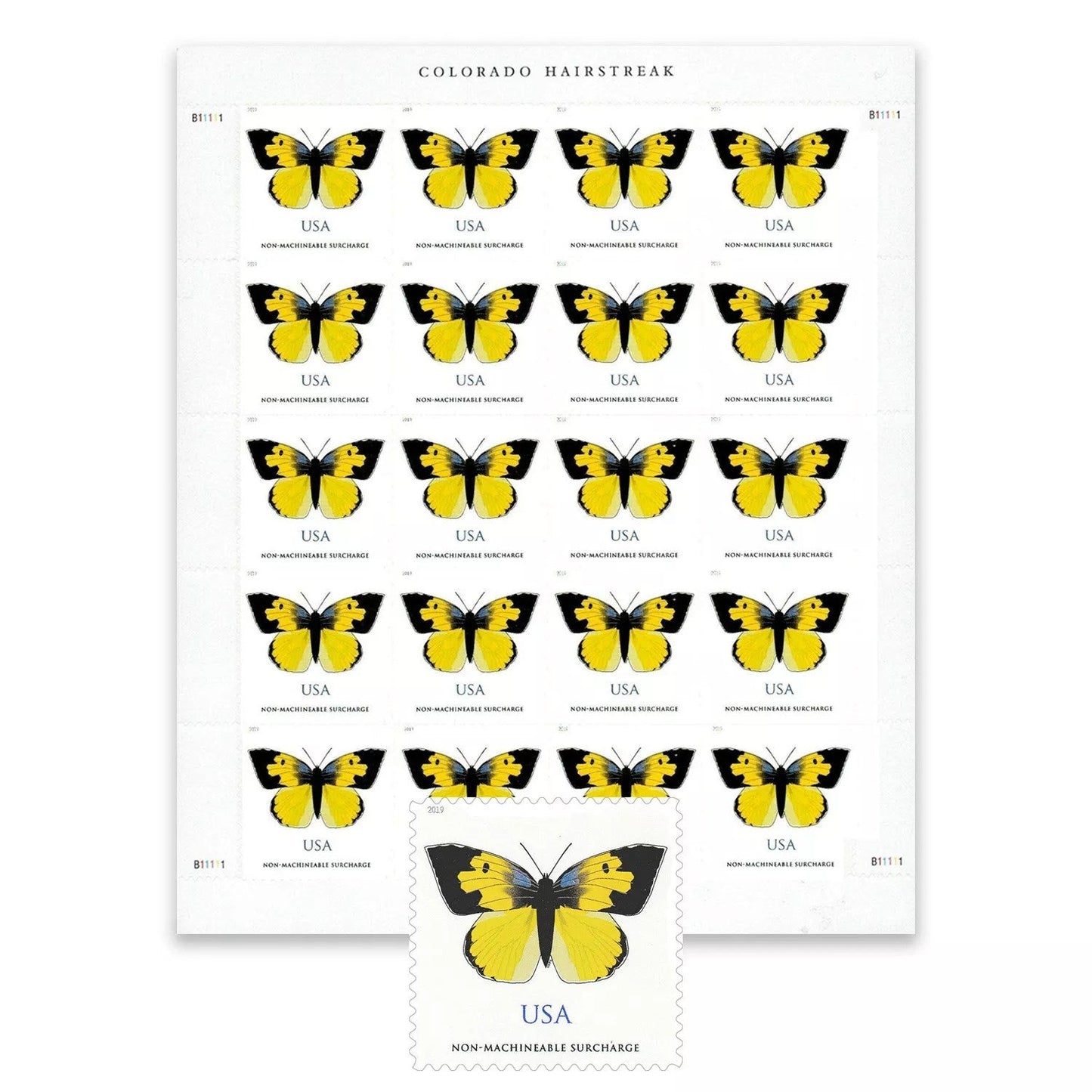 2019 π₯5 Booklets/100 Pcs