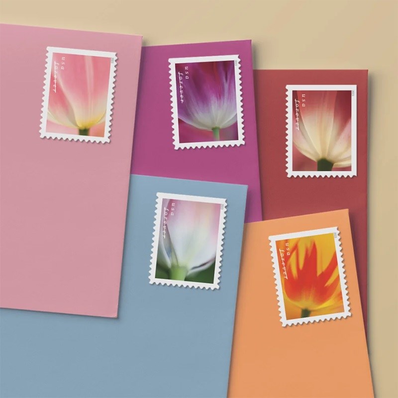 2023 π₯5 Booklets/100 Pcs