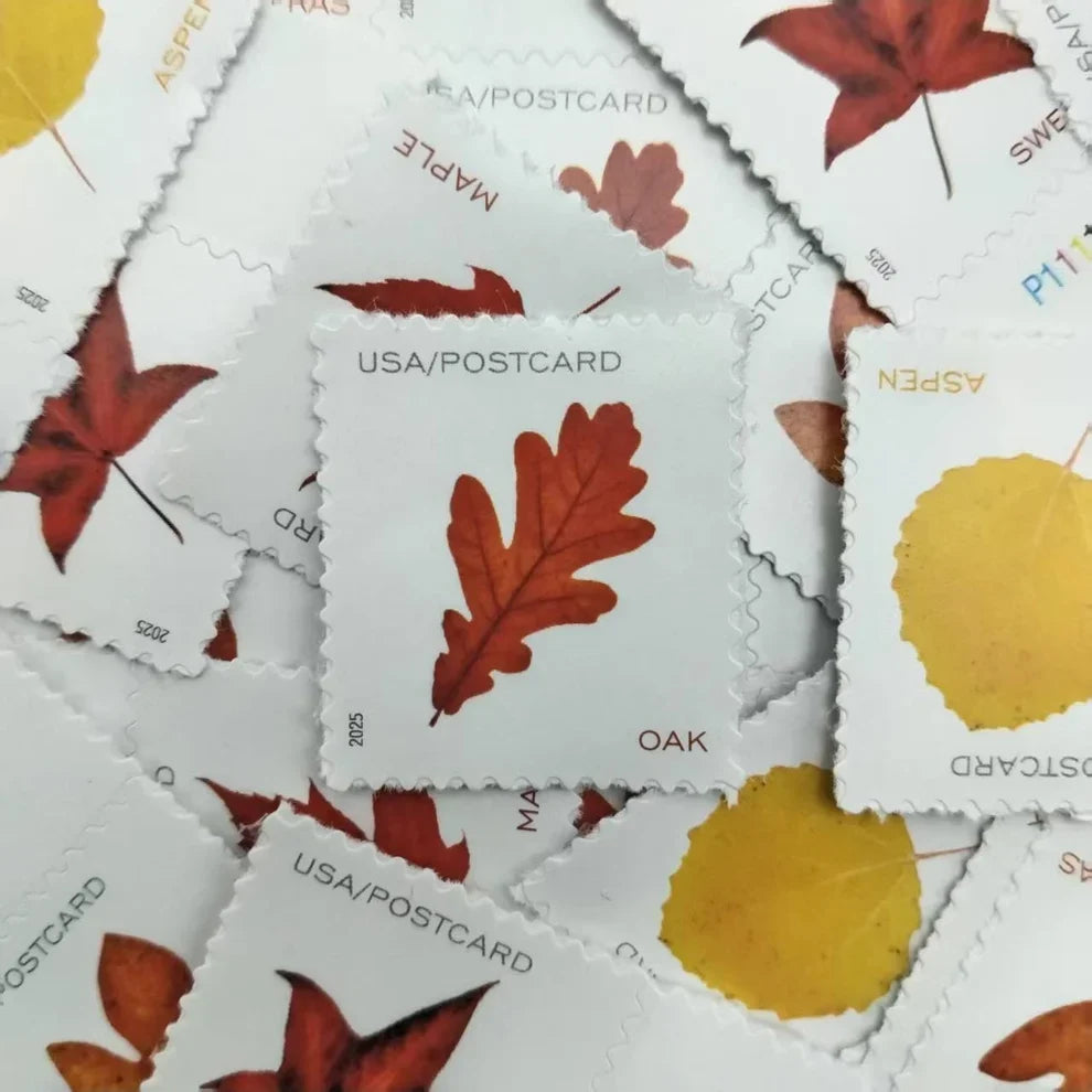 2025 🔥Roll Of 100 Pcs